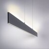 Leuchten-Direkt NILA Pendant Light LED anthracite, 2-light sources, Remote control