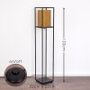 KABUL Floor Lamp gold, black, 1-light source
