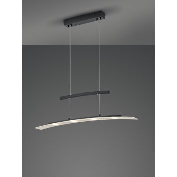 Reality SAMOS Pendant Light LED black, 4-light sources