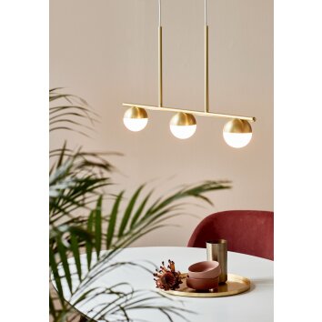 Nordlux CONTINA Pendant Light brass, 3-light sources