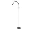Lucide ZOZY Floor Lamp LED black, 1-light source