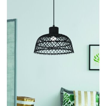 Eglo AUSNBY Pendant Light black, 1-light source