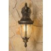 Orion outdoor wall light transparent, clear