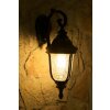Orion outdoor wall light transparent, clear