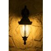 Orion outdoor wall light transparent, clear