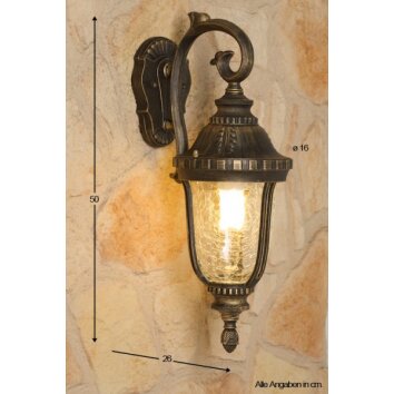 Orion outdoor wall light transparent, clear