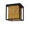 Lucide SANSA Ceiling Light black, 1-light source