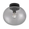 Nordlux ALTON Ceiling Light black, 1-light source