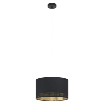 Eglo ESTEPERRA Pendant Light black, 1-light source