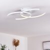GUINEA Ceiling Light LED white, 2-light sources