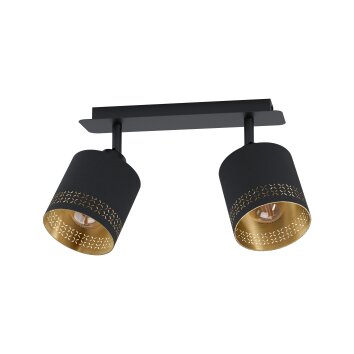 Eglo ESTEPERRA Ceiling Light black, 2-light sources