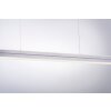 Leuchten-Direkt NIRO Pendant Light LED matt nickel, 2-light sources