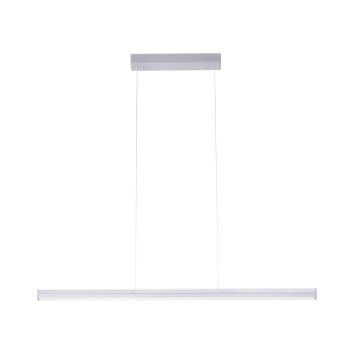 Leuchten-Direkt NIRO Pendant Light LED matt nickel, 2-light sources