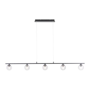 Paul Neuhaus WIDOW Pendant Light LED black, 5-light sources
