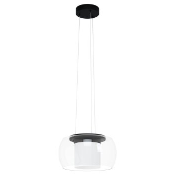 Eglo BRIAGLIA Pendant Light LED black, 1-light source, Colour changer