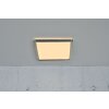 Nordlux OJA Ceiling Light LED matt nickel, 1-light source
