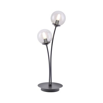 Paul Neuhaus WIDOW Table lamp LED matt nickel, black, 2-light sources