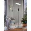 Eglo BUDENSEA Floor Lamp LED black, white, 2-light sources