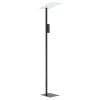 Eglo BUDENSEA Floor Lamp LED black, white, 2-light sources
