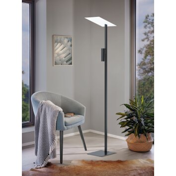 Eglo BUDENSEA Floor Lamp LED black, white, 2-light sources