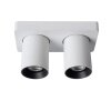 Lucide NIGEL ceiling spotlight LED white, 2-light sources