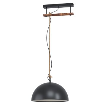 Eglo HODSOLL Pendant Light brown, black, 1-light source