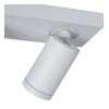 Lucide TAYLOR ceiling spotlight LED white, 2-light sources