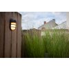 Lutec BULLO Outdoor Wall Light LED brown, rust-coloured, 1-light source