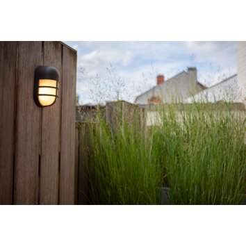 Lutec BULLO Outdoor Wall Light LED brown, rust-coloured, 1-light source