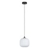 Eglo MANTUNALLE Pendant Light black, 1-light source