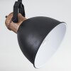 BANJUL Ceiling Light black, 2-light sources