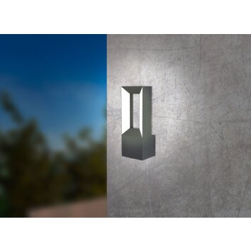 Eglo RIFORANO Outdoor Wall Light LED black, 2-light sources