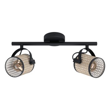 Eglo RUSCOMB Ceiling Light black, 2-light sources
