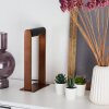DENHIGH Table lamp LED copper, black, 1-light source