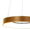 Steinhauer RINGLEDE Pendant Light gold, white, 1-light source