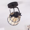RECINTO Ceiling Light black, 1-light source