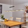 HOGANA Pendant Light LED, 1-light source