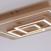 Paul Neuhaus Q-LINEA Ceiling Light LED Light wood, 4-light sources, Remote control