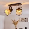 RECINTO Ceiling Light black, 2-light sources