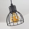COOL SPRING Pendant Light black, 3-light sources