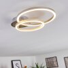 MALANJE Ceiling Light LED matt nickel, 2-light sources