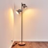 Hora Floor Lamp black, 2-light sources
