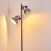 Hora Floor Lamp black, 2-light sources