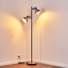 Hora Floor Lamp black, 2-light sources