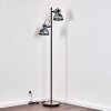 Hora Floor Lamp black, 2-light sources