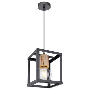 Globo HAGAR Pendant Light black, 1-light source