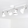 TINA ceiling light white, 4-light sources