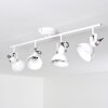 TINA ceiling light white, 4-light sources