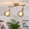 WARGA Ceiling Light matt nickel, 2-light sources