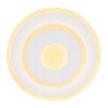 Globo CAMILLA Ceiling Light LED white, 1-light source